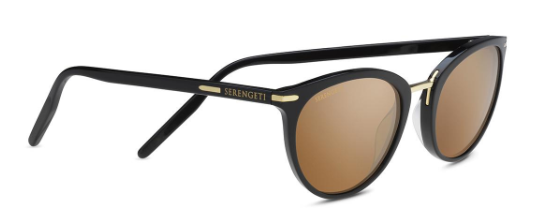 Elyna AA Shiny Black Polarized Drivers Gold